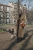 Сумка кросс-боди женская The Bridge Mia 04341601/14 коричневая натур.кожа - купить недорого с доставкой в интернет-магазине