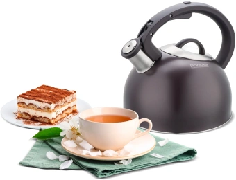 Чайник металлический Rondell Tierno RDS-1900 2.9л. фиолетовый - купить недорого с доставкой в интернет-магазине