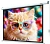 Экран Lumien 100" 157x227см Eco Control LEC-100119 16:9 настенно-потолочный рулонный белый (моторизованный привод)