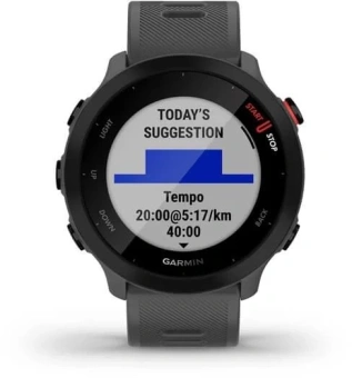 Смарт-часы Garmin Forerunner 55 42мм 1.04" LCD корп.серый рем.серый разм.брасл.:127-220мм (010-02562-13) - купить недорого с доставкой в интернет-магазине