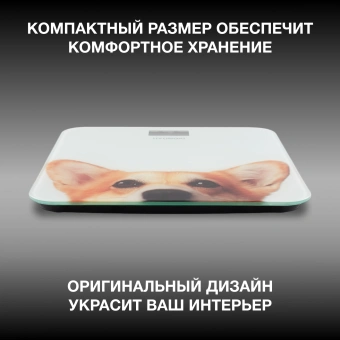 Весы напольные электронные Hyundai H-BS03671 макс.180кг белый - купить недорого с доставкой в интернет-магазине