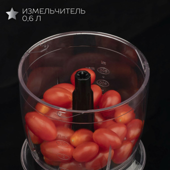 Блендер погружной Scarlett Silver Line SC-HB42F73 1000Вт черный - купить недорого с доставкой в интернет-магазине