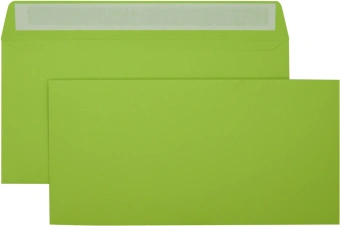 Конверт Silwerhof Eco 225А.10A C65 114x229мм ассорти клеевой слой 120г/м2 (pack:10pcs) - купить недорого с доставкой в интернет-магазине