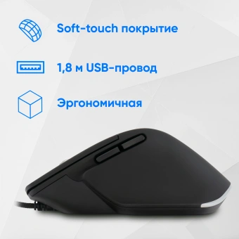 Мышь Оклик 503M черный оптическая 6400dpi silent USB для ноутбука 6but (1885417) - купить недорого с доставкой в интернет-магазине