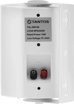 Громкоговоритель Tantos TSo-SW15k настенный 15Вт белый (00-00006444) - купить недорого с доставкой в интернет-магазине