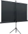 Экран Lumien 100" 130x227см Eco Picture LEV-100115 16:9 напольный натяжной белый - купить недорого с доставкой в интернет-магазине