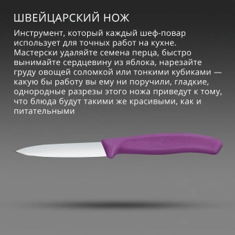 Нож кухонный Victorinox Swiss Classic 6.7605.C1 для чистки овощей и фруктов лезв.80мм прямая заточка пурпурный - купить недорого с доставкой в интернет-магазине