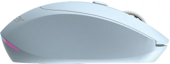 Мышь Acer OMR504 голубой оптическая 3200dpi silent беспров. BT/Radio USB 4but (ZL.MCE11.01E) - купить недорого с доставкой в интернет-магазине