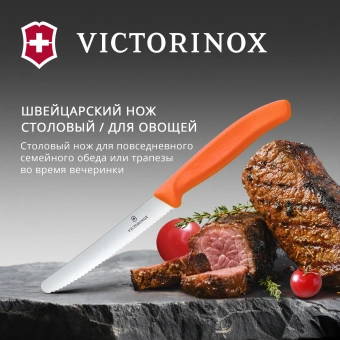 Нож кухонный Victorinox Swiss Classic (6.7839.C1) стальной столовый для овощей лезв.110мм серрейт. заточка оранжевый - купить недорого с доставкой в интернет-магазине