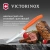 Нож кухонный Victorinox Swiss Classic (6.7839.C1) стальной столовый для овощей лезв.110мм серрейт. заточка оранжевый - купить недорого с доставкой в интернет-магазине