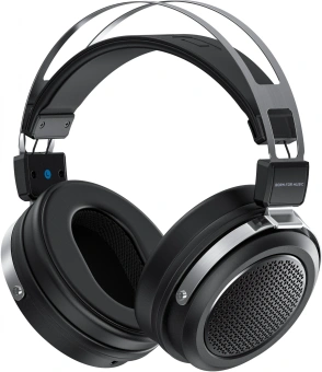 Гарнитура мониторные Fiio JT1 1.5м черный проводные оголовье (80003498) - купить недорого с доставкой в интернет-магазине