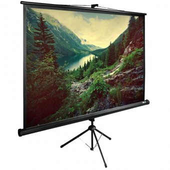 Экран Cactus 220x220см TriExpert CS-PSTE-220x220-BK 1:1 напольный рулонный черный - купить недорого с доставкой в интернет-магазине