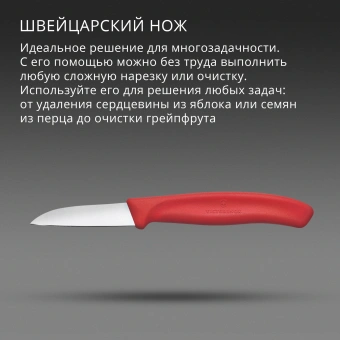 Нож кухонный Victorinox Swiss Classic (6.7301.C1) стальной для чистки овощей и фруктов лезв.60мм прямая заточка красный - купить недорого с доставкой в интернет-магазине