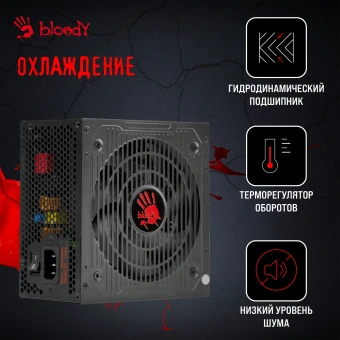 Блок питания Bloody ATX 750W BD-PS750G 80+ gold (20+4pin) APFC 120mm fan 6xSATA Cab Manag RTL - купить недорого с доставкой в интернет-магазине