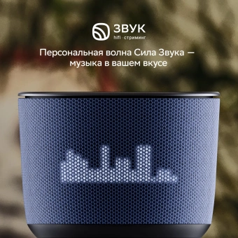 Умная колонка Sber Boom Home SBDV-00171G Салют серый 8W Mono BT/Wi-Fi (без.бат) - купить недорого с доставкой в интернет-магазине