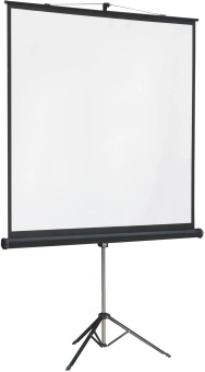 Экран на треноге Lumien 244x244см Master View LMV-100105 1:1 напольный рулонный - купить недорого с доставкой в интернет-магазине