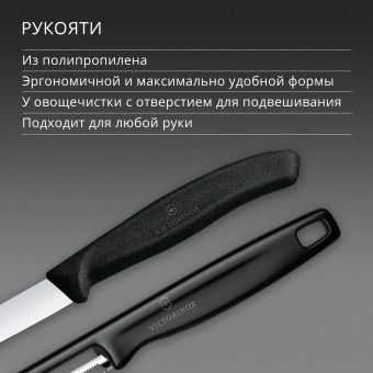Набор нож/овощеч. Victorinox Swiss Classic 6.7113.21 компл.:2предм. черный европодвес - купить недорого с доставкой в интернет-магазине