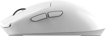 Мышь Acer OMR401 белый оптическая 12000dpi беспров. BT/Radio USB 5but (ZL.MCECC.05D) - купить недорого с доставкой в интернет-магазине
