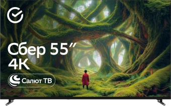 Телевизор LED Sber 55" SDX-55U5500DBB Салют ТВ Frameless темно-серый 4K Ultra HD 60Hz DVB-T DVB-T2 DVB-C DVB-S DVB-S2 USB WiFi Smart TV (RUS) - купить недорого с доставкой в интернет-магазине