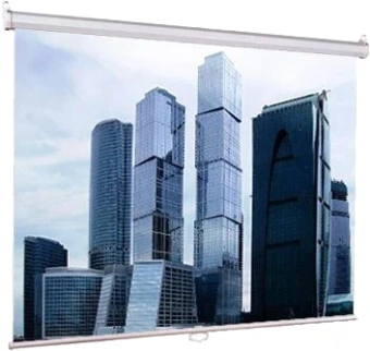 Экран Lumien 67" 120x120см Eco Picture LEP-100131 1:1 настенно-потолочный рулонный белый - купить недорого с доставкой в интернет-магазине