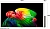 Телевизор OLED LG 48" OLED48B6RLA.ARUG коричневый/серый 4K Ultra HD 120Hz DVB-T2 DVB-C DVB-S2 USB WiFi Smart TV
