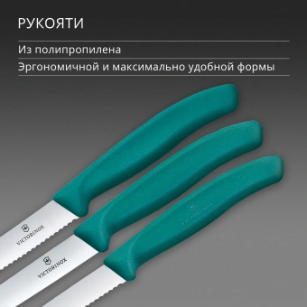 Набор ножей кухон. Victorinox Swiss Classic 6.7114.34C1 для овощей компл.:3предм. зеленый европодвес - купить недорого с доставкой в интернет-магазине