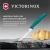 Нож кухонный Victorinox Swiss Classic (6.7704.C1) стальной универсальный для чистки овощей и фруктов лезв.100мм прямая заточка зеленый - купить недорого с доставкой в интернет-магазине