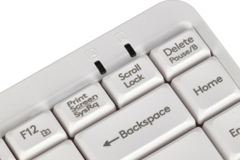 Клавиатура A4Tech FK11 белый USB slim (FK11 USB (WHITE)) кабель 1.5м - купить недорого с доставкой в интернет-магазине