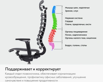 Кресло руководителя эргономичное Метта Equalizer L2-47D черный сиденье черный экокожа с подголов. крестов.5-луч. металл хром - купить недорого с доставкой в интернет-магазине