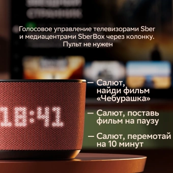 Умная колонка Sber Boom Home SBDV-00171G Салют серый 8W Mono BT/Wi-Fi (без.бат) - купить недорого с доставкой в интернет-магазине