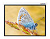 Экран Lumien 146" 229x305см Master Control LMC-100110 4:3 настенно-потолочный рулонный (моторизованный привод)