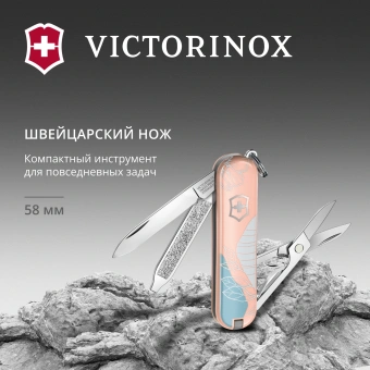 Нож перочинный Victorinox Classic SD Paris Style (0.6223.E221) 58мм 7функц. розовый подар.коробка в комплекте: шнурок - купить недорого с доставкой в интернет-магазине