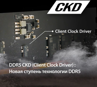 Память DDR5 32GB 6400MHz Patriot PSD532G6402C Signature RTL PC5-51200 CL52 DIMM 288-pin 1.1В dual rank Ret - купить недорого с доставкой в интернет-магазине