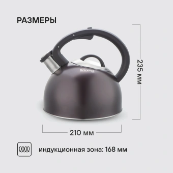 Чайник металлический Rondell Tierno RDS-1900 2.9л. фиолетовый - купить недорого с доставкой в интернет-магазине