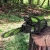 Цепная пила Greenworks GD60CS25 аккум. 2500Вт дл.шины:16" (40cm) (2008907) - купить недорого с доставкой в интернет-магазине