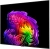 Телевизор OLED LG 65" OLED65G6RLA.ARUG атласное серебро 4K Ultra HD 120Hz DVB-T2 DVB-C DVB-S2 USB WiFi Smart TV - цена, купить или заказать с доставкой в интернет-магазине Телевизор OLED LG 65" OLED65G6RLA.ARUG атласное серебро 4K Ultra HD 120Hz DVB-T2 DVB-C DVB-S2 USB WiFi Smart TV - купить недорого с доставкой в интернет-магазине