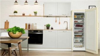 Морозильная камера Indesit DSZ 5175 E бежевый - купить недорого с доставкой в интернет-магазине