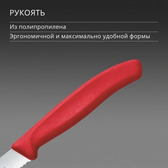 Нож кухонный Victorinox Swiss Classic (6.7831.C1) стальной столовый для овощей лезв.110мм серрейт. заточка красный - купить недорого с доставкой в интернет-магазине