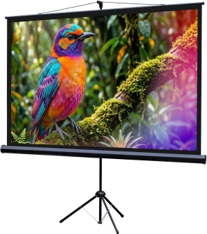Экран Lumien 100" 130x227см Eco Picture LEV-100115 16:9 напольный натяжной белый - купить недорого с доставкой в интернет-магазине