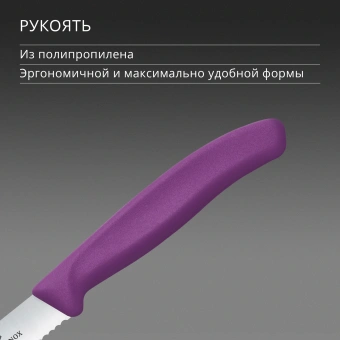 Нож кухонный Victorinox Swiss Classic (6.7835.C1) стальной столовый для томатов лезв.110мм серрейт. заточка пурпурный - купить недорого с доставкой в интернет-магазине