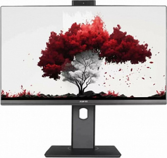 Монитор RDW Computers 23.8" RDW 2402K черный IPS 4ms HDMI M/M Cam HAS Piv 300cd 178гр/178гр 1920x1080 100Hz VGA DP USB (RUS) - купить недорого с доставкой в интернет-магазине