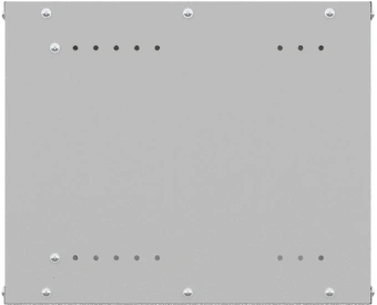 Шкаф коммутационный NTSS Lime (NTSS-WL6U5545GS) настенный 6U 550x450мм пер.дв.стекл несъемн.бок.пан. 30кг серый 370мм 9.6кг 110град. 370мм IP20 укомплектованный - купить недорого с доставкой в интернет-магазине