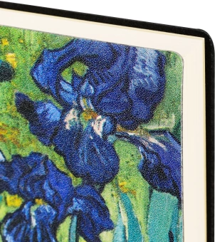 Ежедневник Deli VG CN146 A5 недатир. 136стр. ассорти Поле - купить недорого с доставкой в интернет-магазине