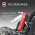 Нож перочинный Victorinox Forester (0.8363) 111мм 12функц. красный карт.коробка - купить недорого с доставкой в интернет-магазине