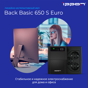 Источник бесперебойного питания Ippon Back Basic 850S Euro 480Вт 850ВА черный - купить недорого с доставкой в интернет-магазине