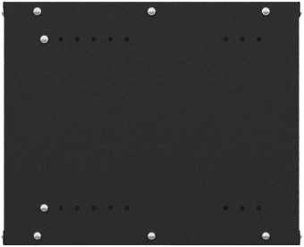 Шкаф коммутационный NTSS Lime (NTSS-WL6U5545GS-BL) настенный 6U 550x450мм пер.дв.стекл несъемн.бок.пан. 30кг черный 370мм 9.6кг 110град. 370мм IP20 сталь - купить недорого с доставкой в интернет-магазине
