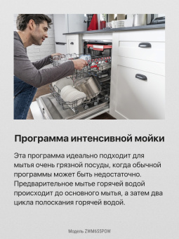 Посудомоечная машина Hansa AutoOpen ZWM655POW белый (полноразмерная) - купить недорого с доставкой в интернет-магазине