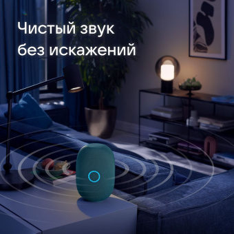 Умная колонка VK Капсула Маруся зеленый 30W 1.0 BT 10м (MRC01GR) - купить недорого с доставкой в интернет-магазине