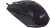Мышь Acer OMW170 черный оптическая 3200dpi USB 6but (ZL.MCEEE.00R) - купить недорого с доставкой в интернет-магазине