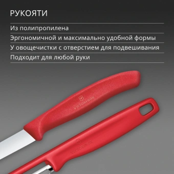 Набор нож/овощеч. Victorinox Swiss Classic 6.7111.21C1 компл.:2предм. красный европодвес - купить недорого с доставкой в интернет-магазине